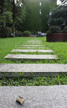 草坪石板路