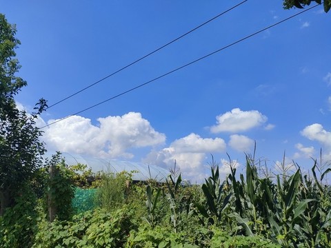 藍(lán)天