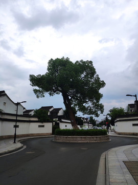 蘇州城市風(fēng)光