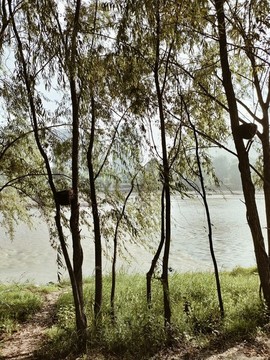 灞河風(fēng)景