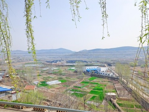 春天田野風景
