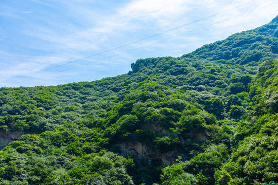 山區(qū)