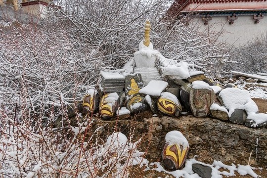 達(dá)拉崗布寺塔林