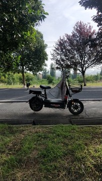 我的電動車