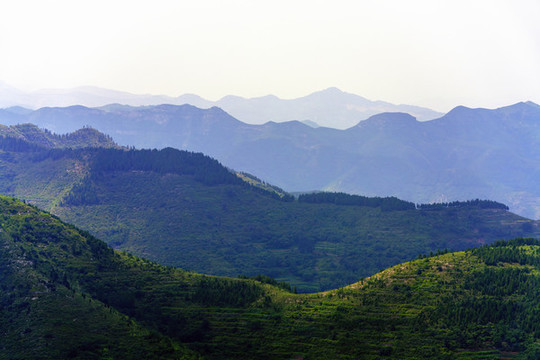 青山
