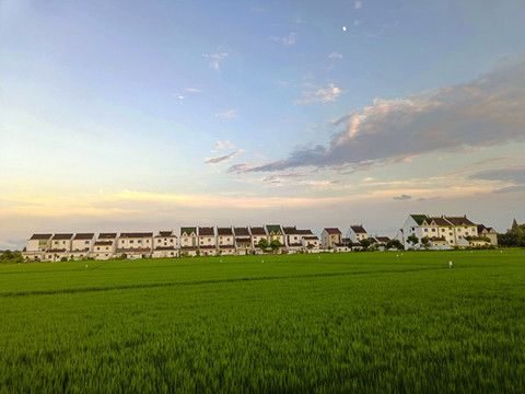 鄉(xiāng)野美景彩霞滿(mǎn)天月