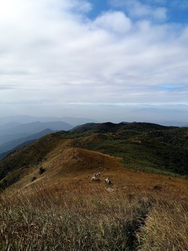 山脊秋色