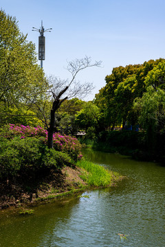 江蘇無(wú)錫蠡湖中央公園
