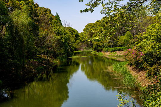 江蘇無(wú)錫蠡湖中央公園