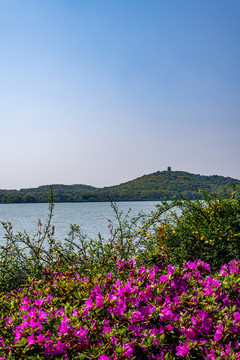 江蘇無(wú)錫蠡湖國(guó)家濕地公園