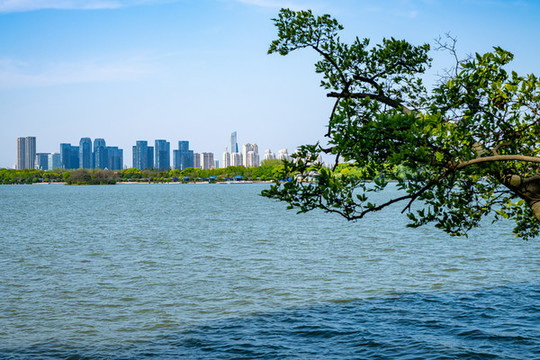 江蘇無錫太湖蠡湖黿頭渚風景區(qū)
