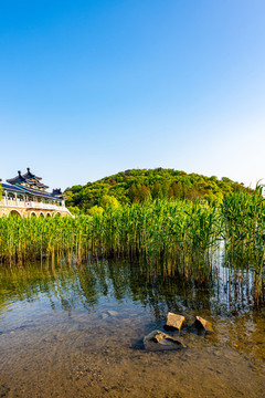 江蘇無(wú)錫太湖黿頭渚風(fēng)景區(qū)