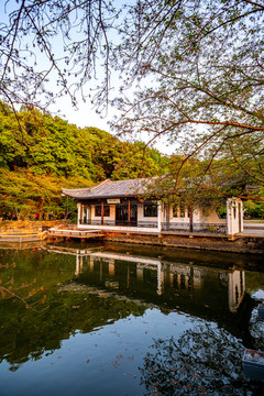 江蘇無錫太湖黿頭渚風(fēng)景區(qū)