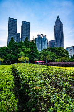 南京圖書館建筑景觀