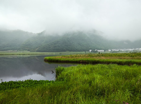 神農(nóng)架大九湖
