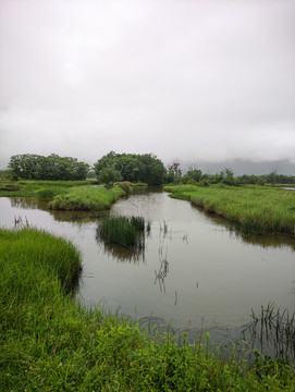神農(nóng)架大九湖
