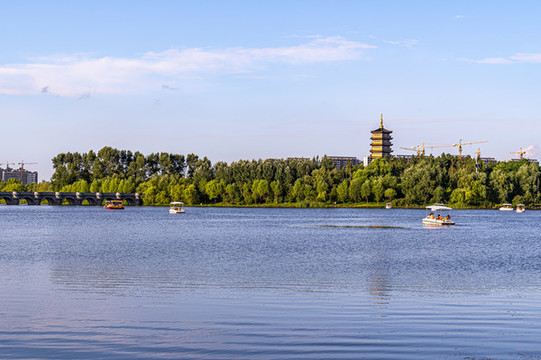 荷花盛開的長(zhǎng)春北湖濕地公園景觀