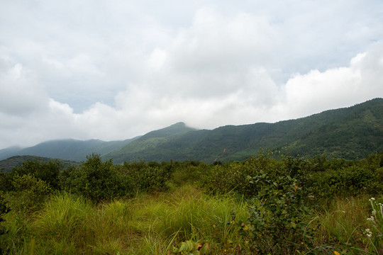 大山叢林天空云朵