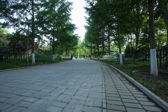 公園步道