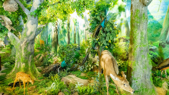 勞山森林公園展覽館