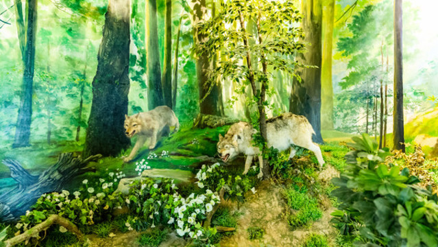 勞山森林公園展覽館