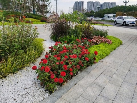 路邊花草