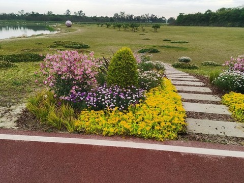 組團(tuán)花草