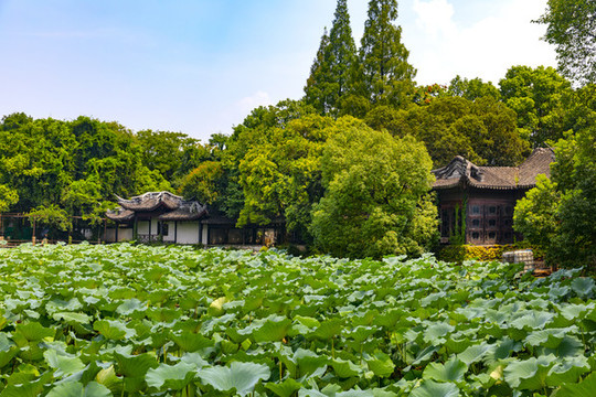 南潯小蓮莊