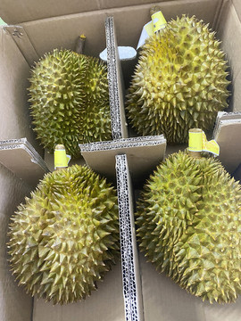 榴蓮