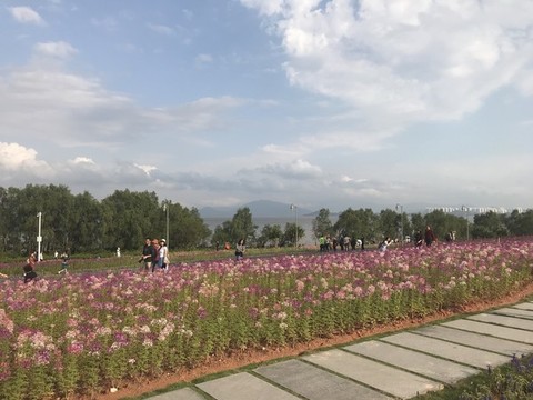 流花山公園