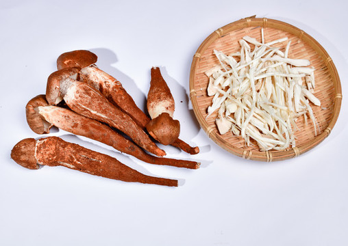 野生菌雞樅菌