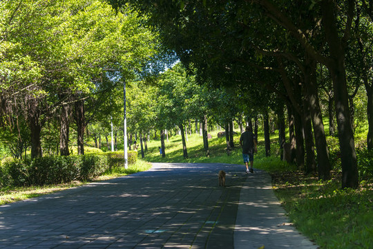 飛來湖濕地公園
