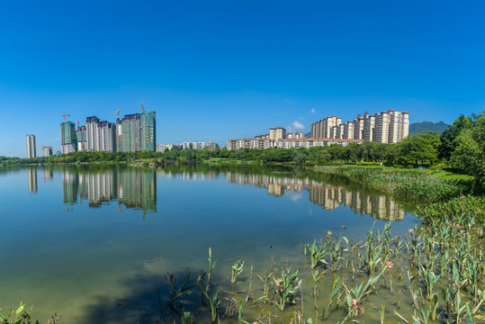飛來湖濕地公園
