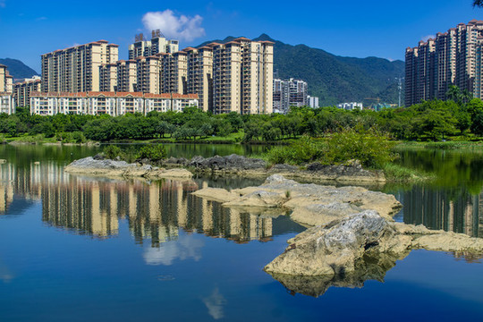 飛來湖濕地公園