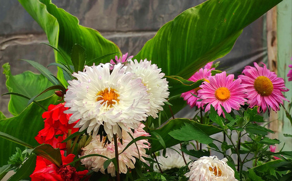 鮮花