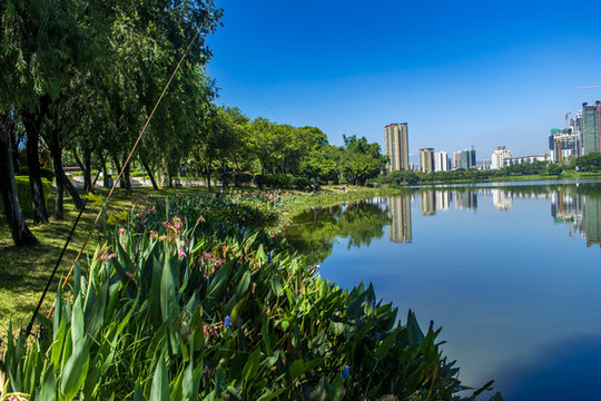 飛來湖濕地公園