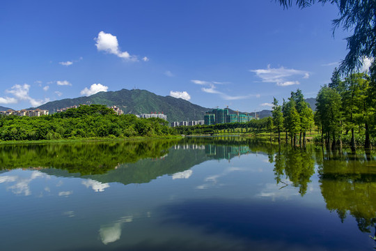 飛來湖濕地公園