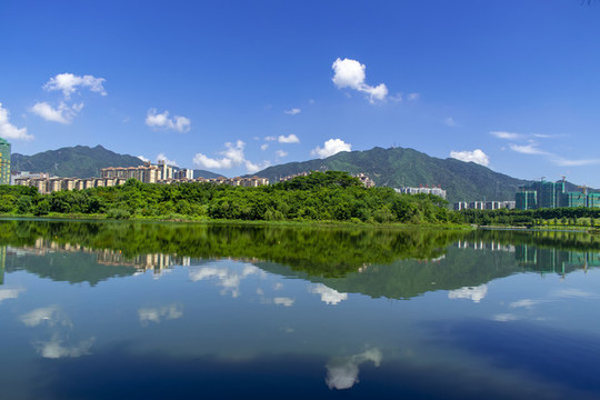 飛來(lái)湖濕地公園