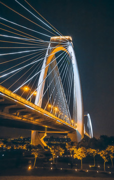 南寧橋梁夜景