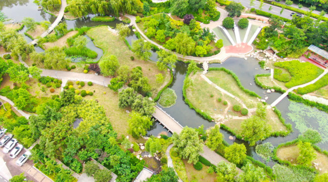城市公園