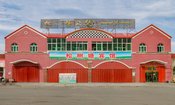 巴里坤草原松樹塘