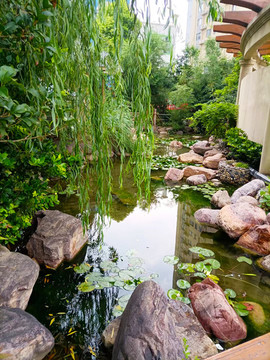 園林水景