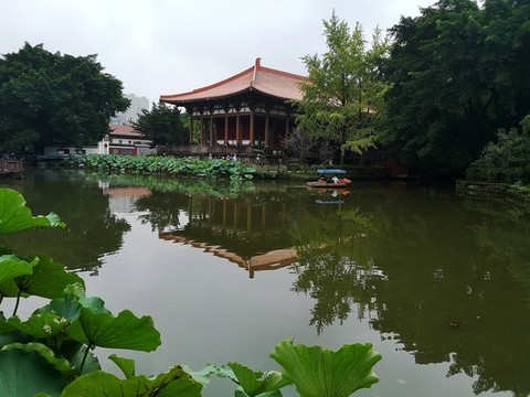 公園水景
