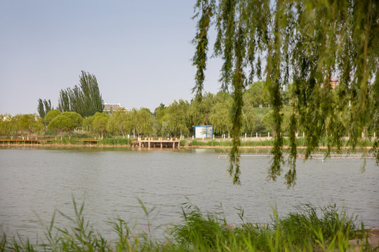 張騫公園