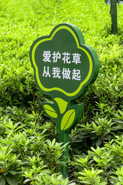 愛護(hù)花草從我做起