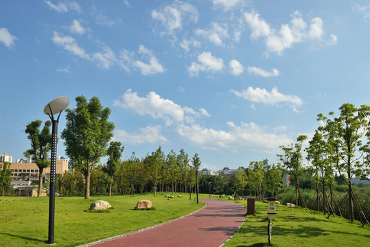 濕地公園