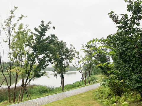 湖邊小路