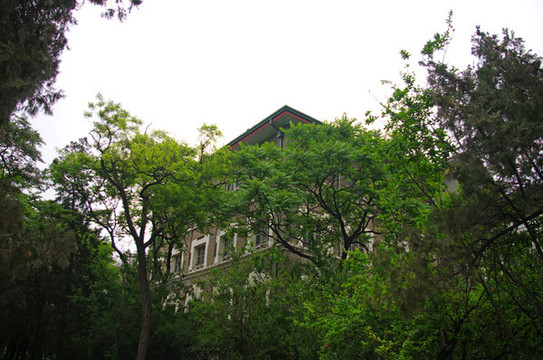 河南大學(xué)明倫校區(qū)近代建筑群