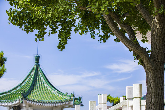 青島城市風(fēng)貌