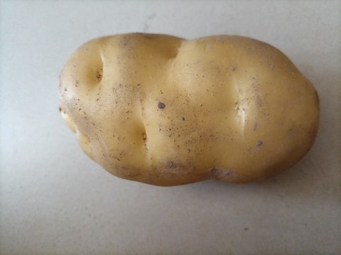 土豆